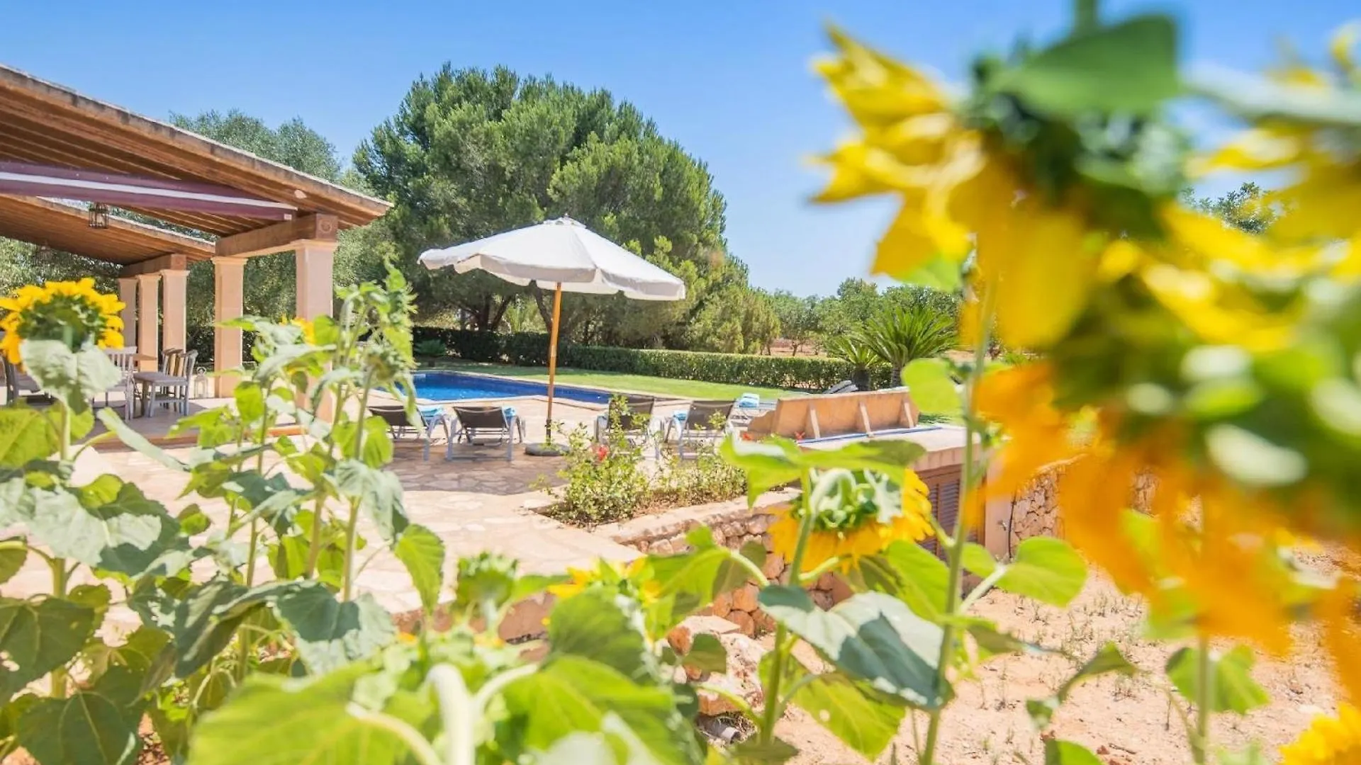 Luxurioese Finca Auf Zwei Etagen Mit Garten Sowie Pool Und Whirlpool Campos  0*, Campos (Mallorca) Spain
